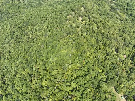 Lot 2 Price Ridge Road Stanley VA 22851