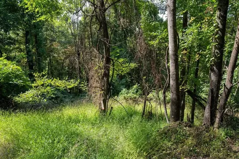 Lot 2 Price Ridge Road Stanley VA 22851