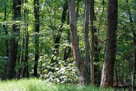 Lot 2 Price Ridge Road Stanley VA 22851