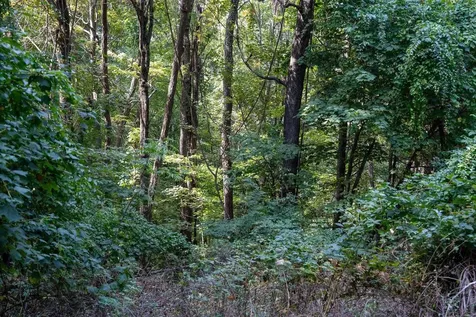 Lot 2 Price Ridge Road Stanley VA 22851
