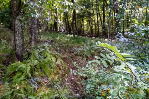 Lot 2 Price Ridge Road Stanley VA 22851