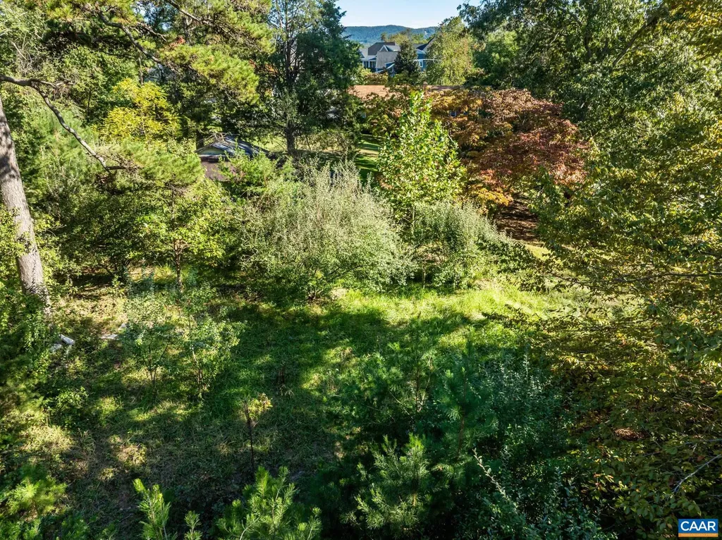 1704 Old Brook Road Charlottesville VA 22901