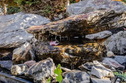 1690 Buckingham Drive Rockingham VA 22801