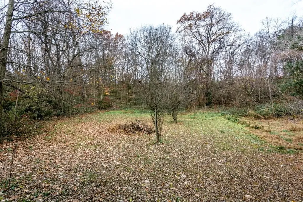 10807 Indian Trail Road Rockingham VA 22802