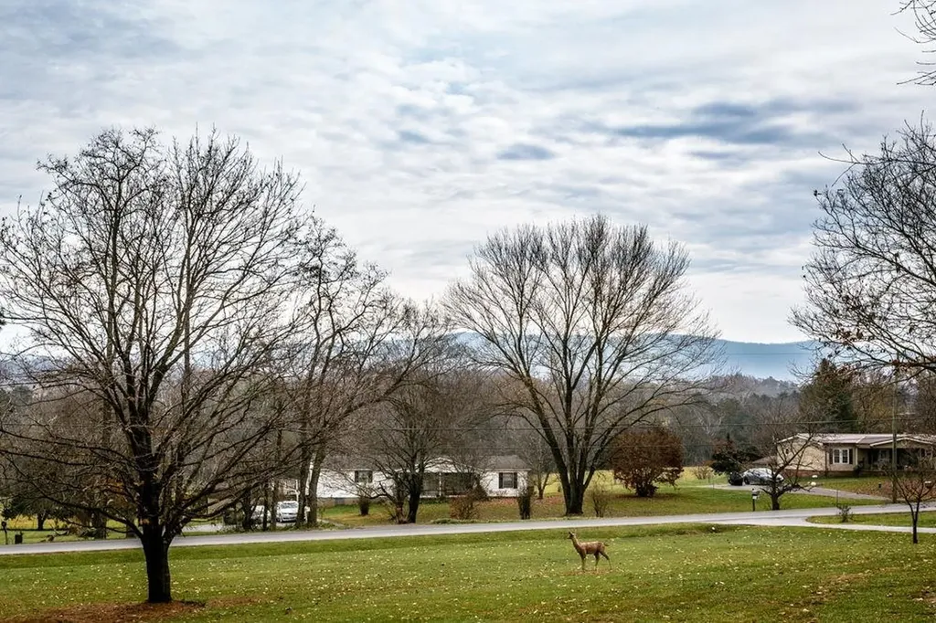 10807 Indian Trail Road Rockingham VA 22802