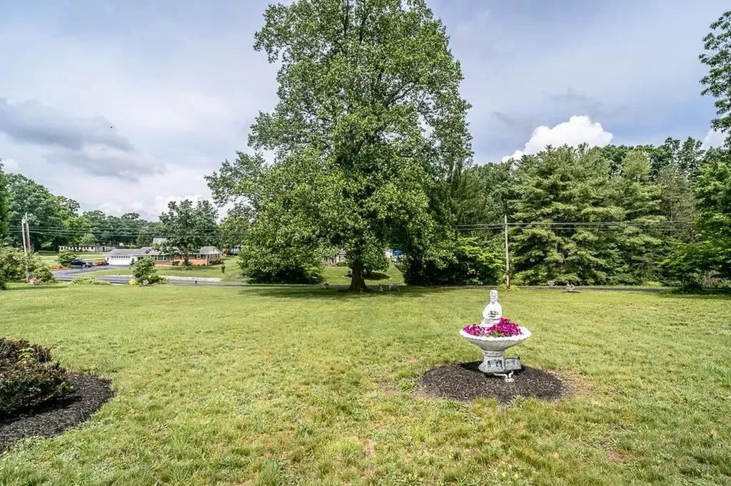 8217 South East Side Highway Elkton VA 22827