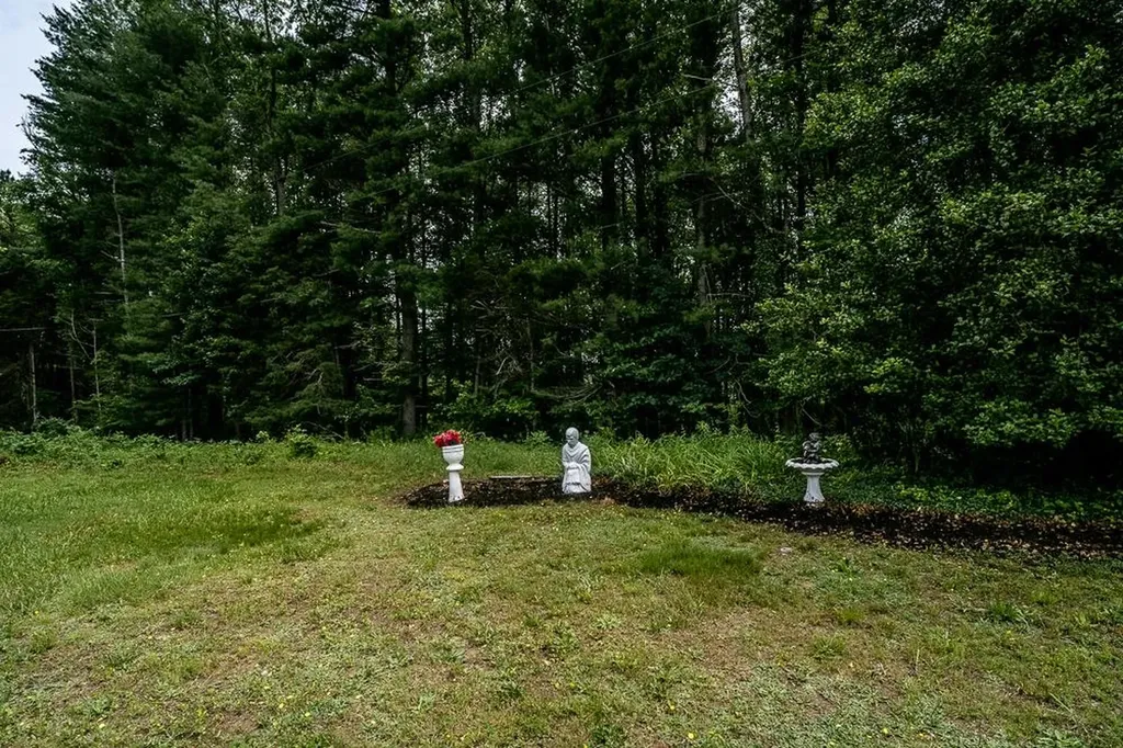 8217 South East Side Highway Elkton VA 22827