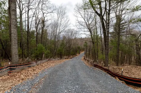 0 Toms Park Lane Fulks Run VA 22830