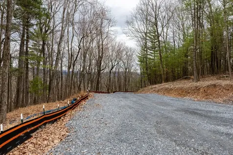 0 Toms Park Lane Fulks Run VA 22830