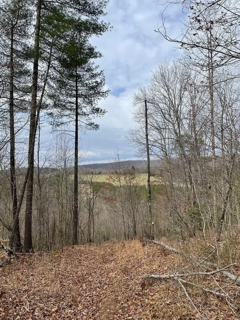 70-131 Estaline Valley Road Craigsville VA 24430