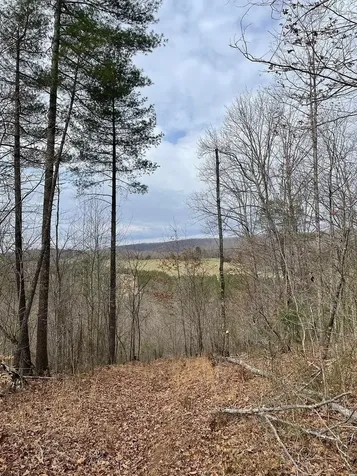 70-131 Estaline Valley Road Craigsville VA 24430