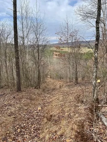 70-131 Estaline Valley Road Craigsville VA 24430