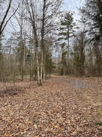 70-131 Estaline Valley Road Craigsville VA 24430