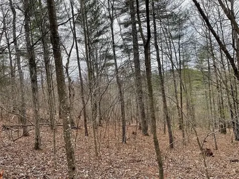 70-131 Estaline Valley Road Craigsville VA 24430