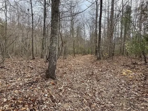 70-131 Estaline Valley Road Craigsville VA 24430