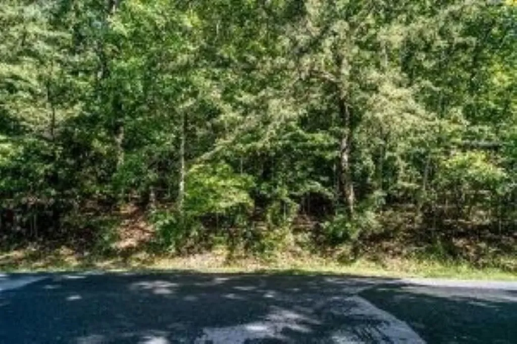 183 Deer Drive Mcgaheysville VA 22840