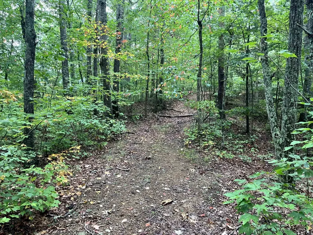 305 Stuples Hollow Road Craigsville VA 24430