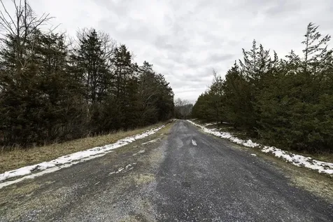 Off Walla Drive Rileyville VA 22650