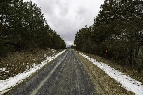 Off Walla Drive Rileyville VA 22650