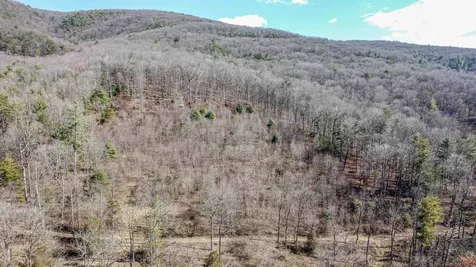 Tbd Rocky Ridge Lane Fulks Run VA 22830