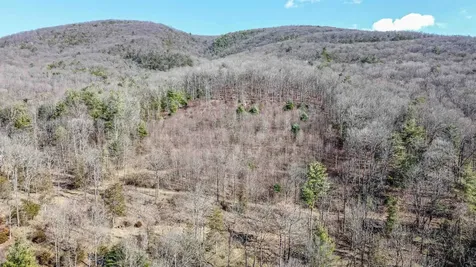 Tbd Rocky Ridge Lane Fulks Run VA 22830
