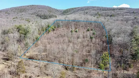 Tbd Rocky Ridge Lane Fulks Run VA 22830