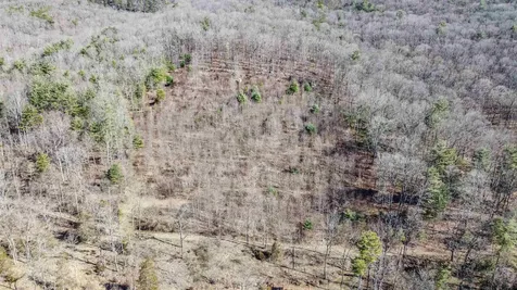 Tbd Rocky Ridge Lane Fulks Run VA 22830