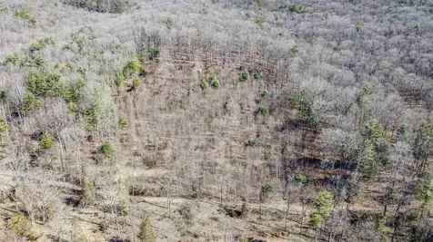 Tbd Rocky Ridge Lane Fulks Run VA 22830