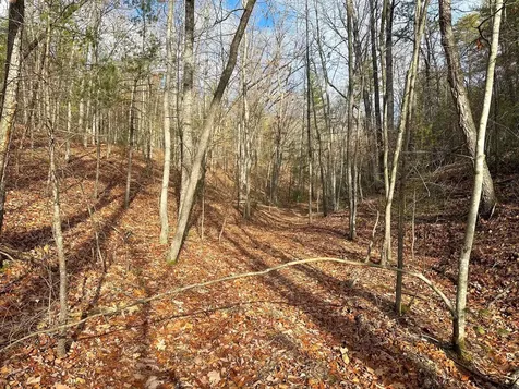 Tbd Stribling Springs Road Mount Solon VA 22843