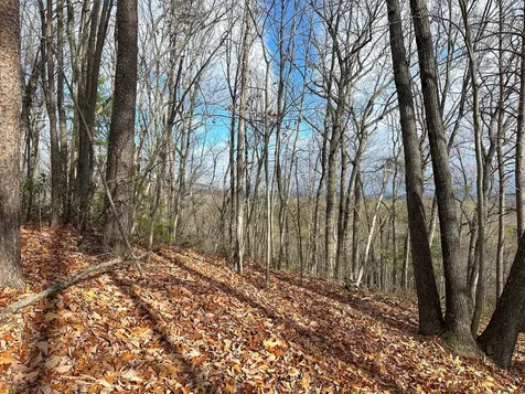 Tbd Stribling Springs Road Mount Solon VA 22843