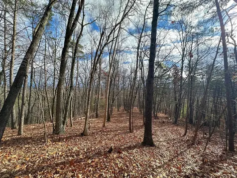 Tbd Stribling Springs Road Mount Solon VA 22843