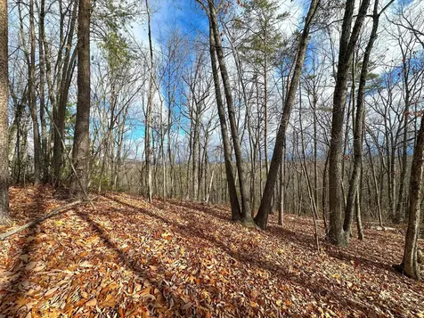 Tbd Stribling Springs Road Mount Solon VA 22843