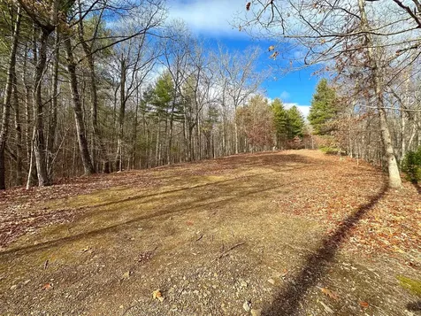 Tbd Stribling Springs Road Mount Solon VA 22843