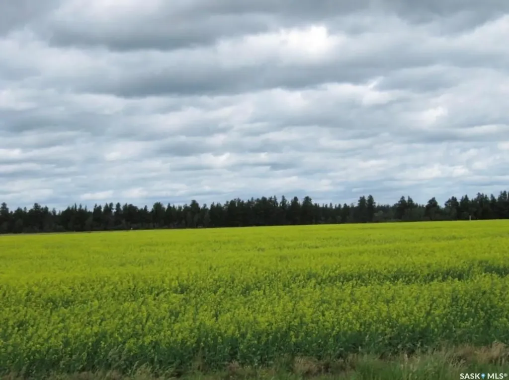 Rural Address Nipawin Rm No. 487 SK S0E 1E0