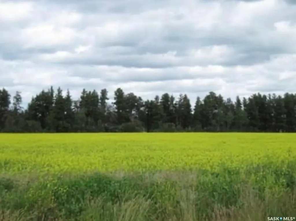 Rural Address Nipawin Rm No. 487 SK S0E 1E0