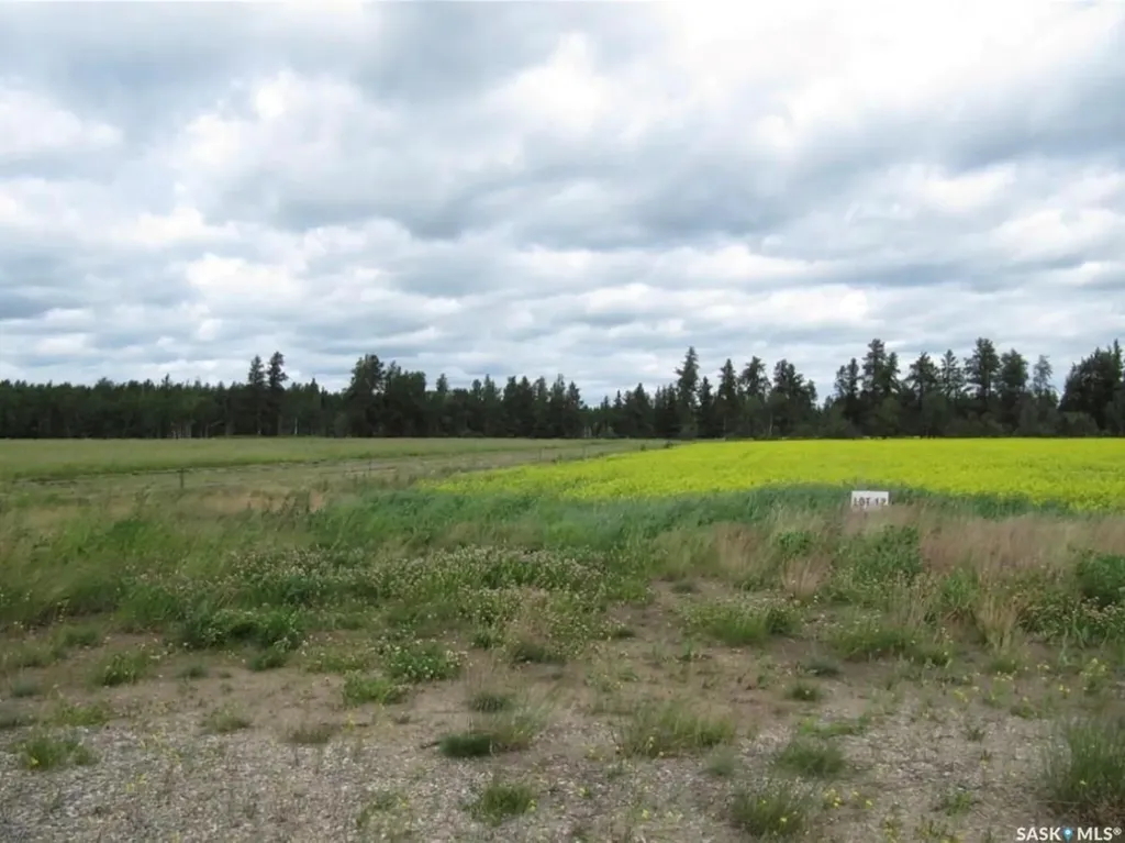 Rural Address Nipawin Rm No. 487 SK S0E 1E0