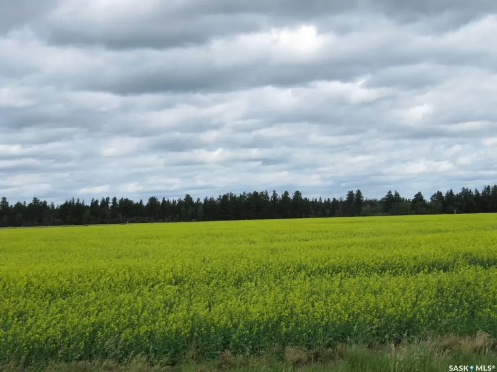 Rural Address Nipawin Rm No. 487 SK S0E 1E0