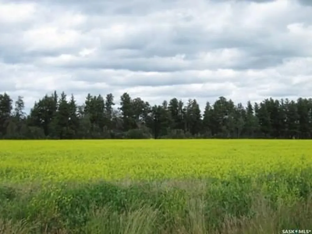 Rural Address Nipawin Rm No. 487 SK S0E 1E0