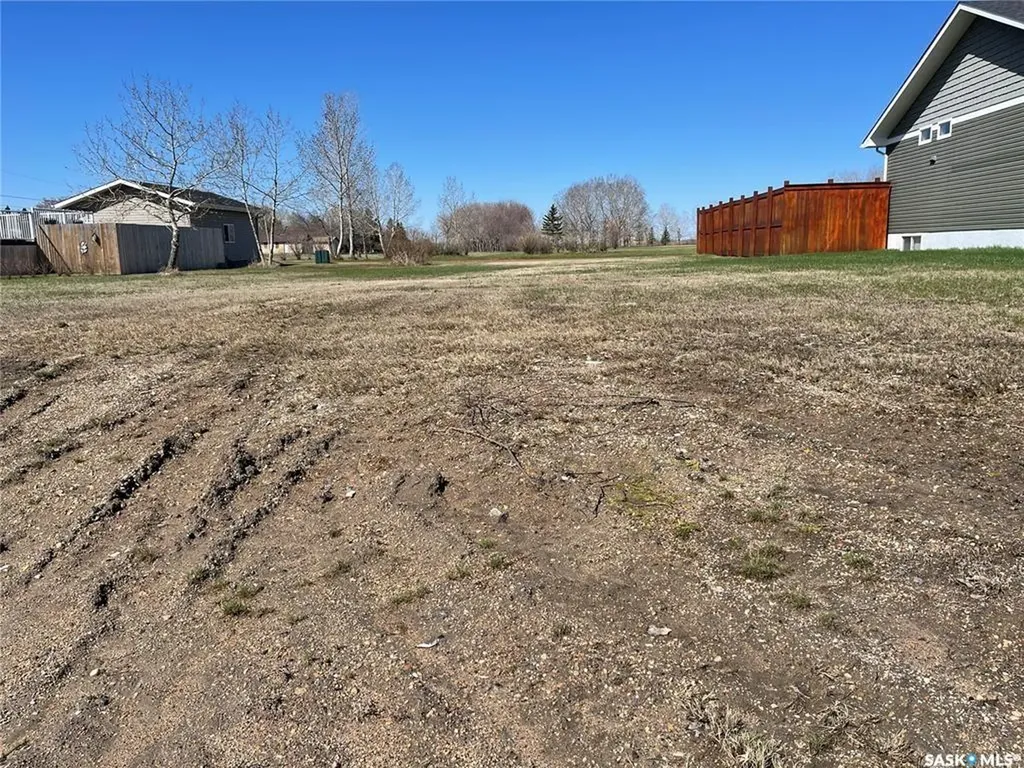 133 Cameron Crescent Watson SK S0K 4V0