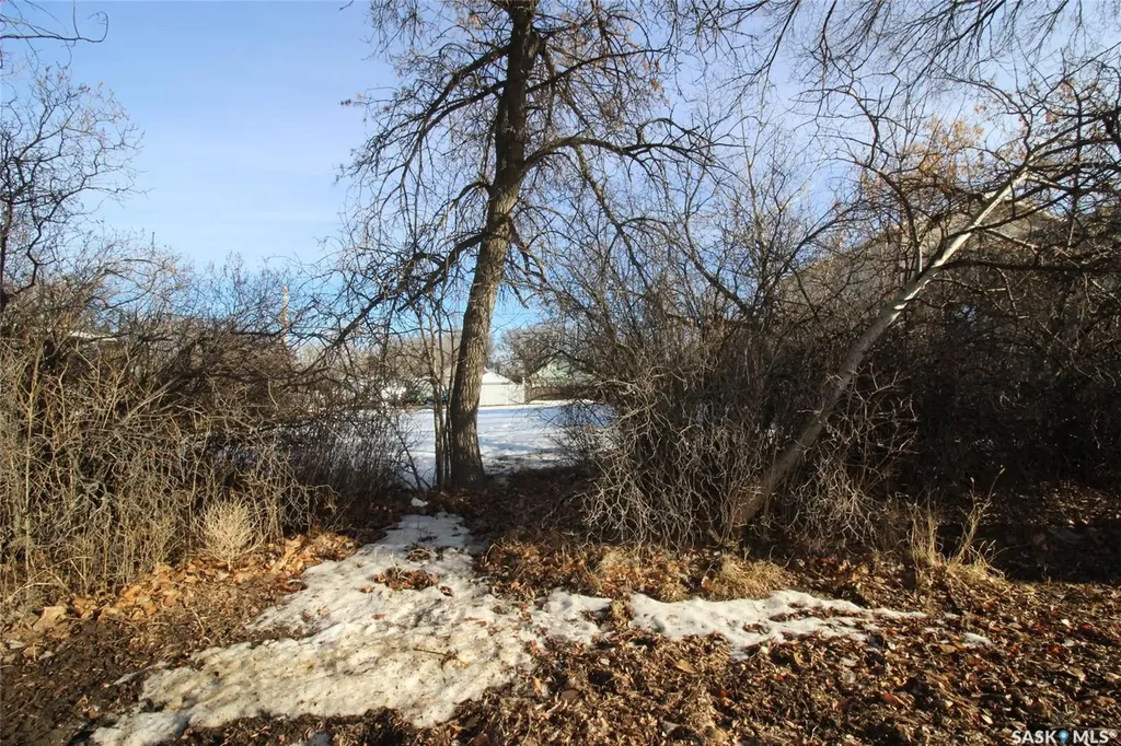456 3rd Street W Shaunavon SK S0N 2M0