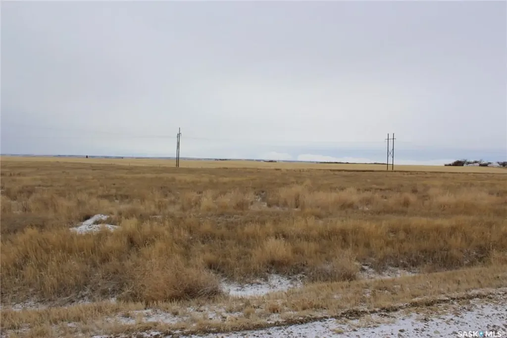705 Horsey Road Shaunavon SK S0N 2M0