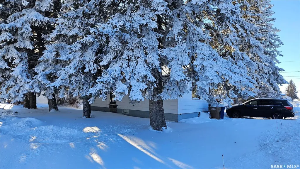 301 2nd Avenue Cudworth SK S0K 1B0