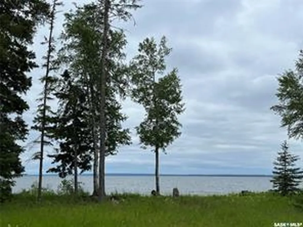 2 And 11 Spruce Crescent Dore Lake SK S0M 1B0