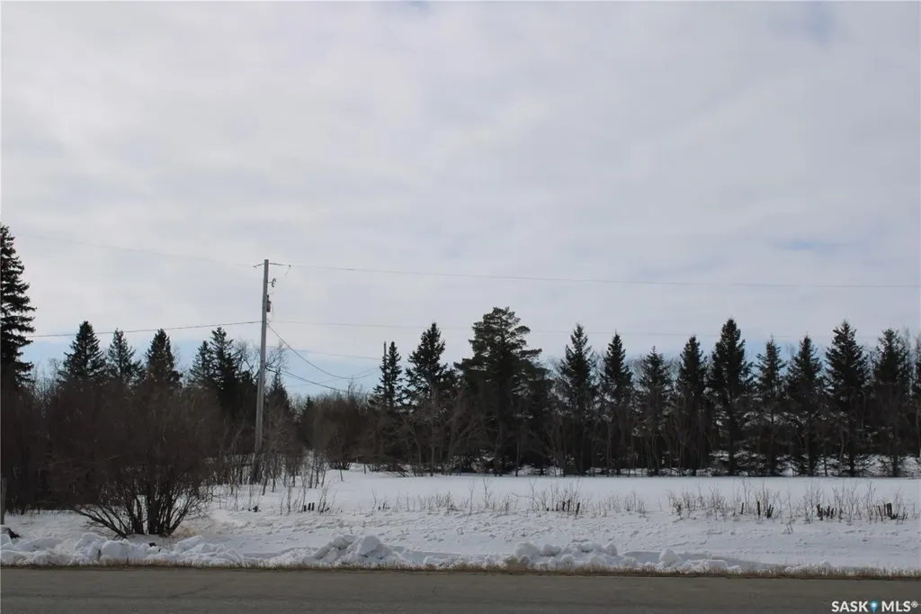 730 Broadway Street W Orkney Rm No. 244 SK S3N 0P3