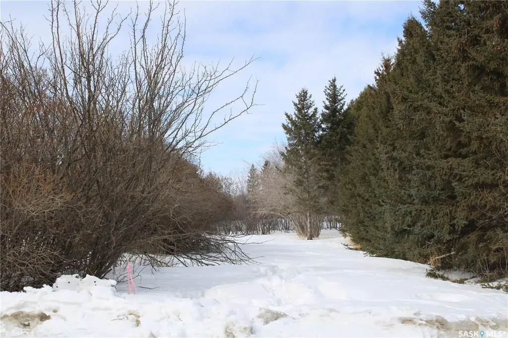730 Broadway Street W Orkney Rm No. 244 SK S3N 0P3