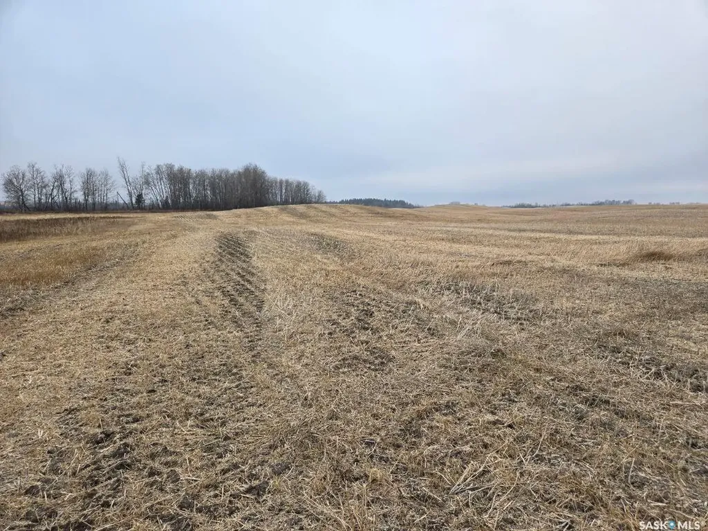 Rural Address Canwood Rm No. 494 SK S0J 0K0