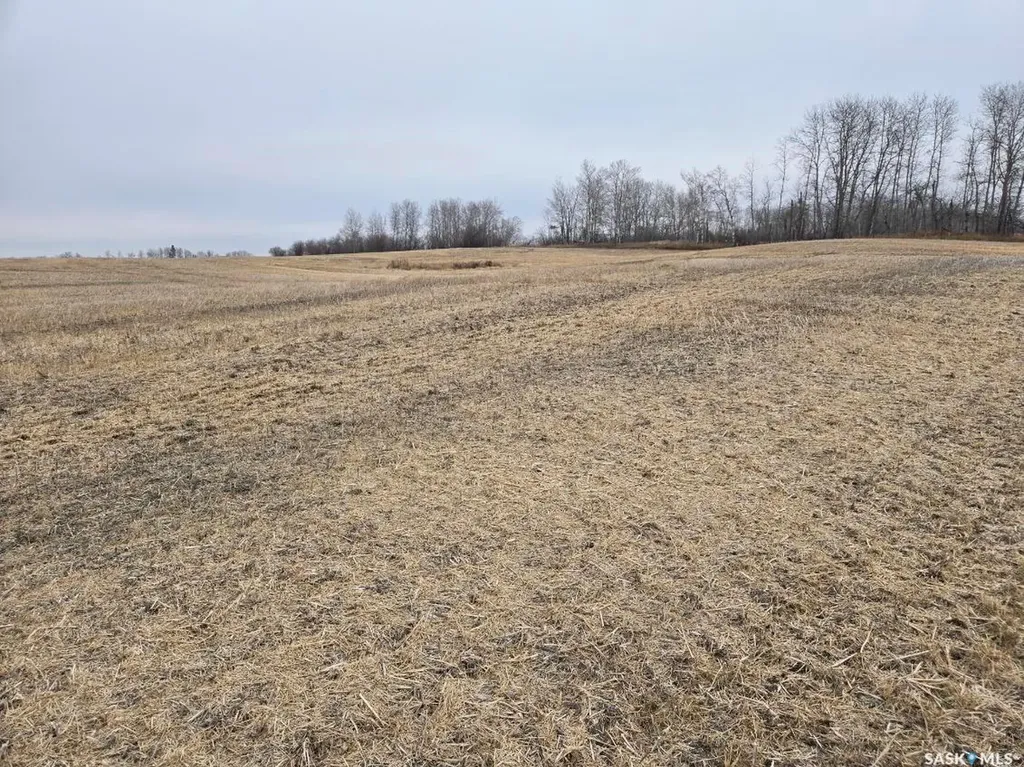 Rural Address Canwood Rm No. 494 SK S0J 0K0