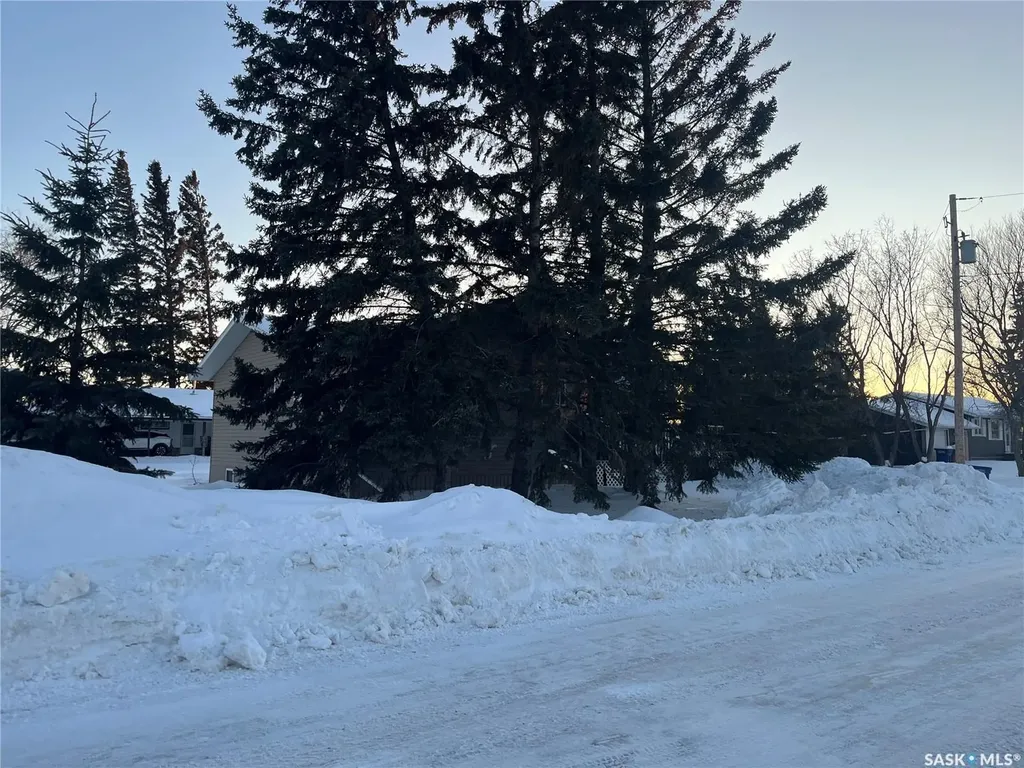 100 1st Avenue SW Wadena SK S0A 4J0