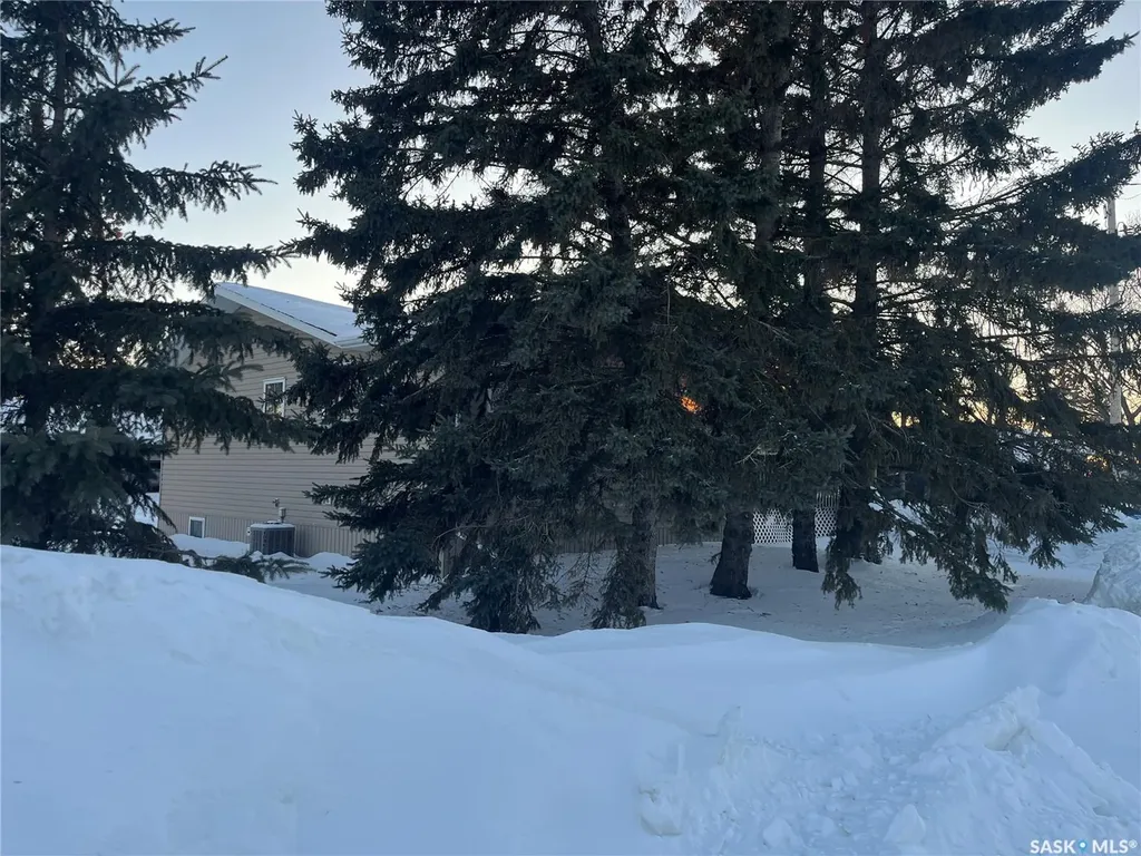 100 1st Avenue SW Wadena SK S0A 4J0