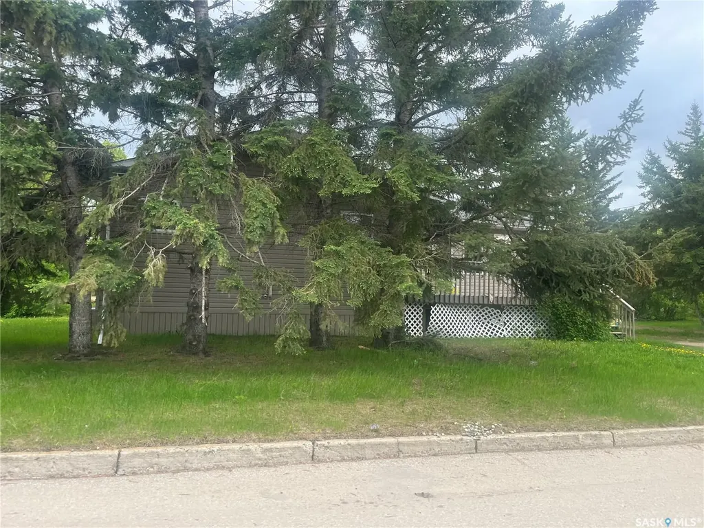 100 1st Avenue SW Wadena SK S0A 4J0